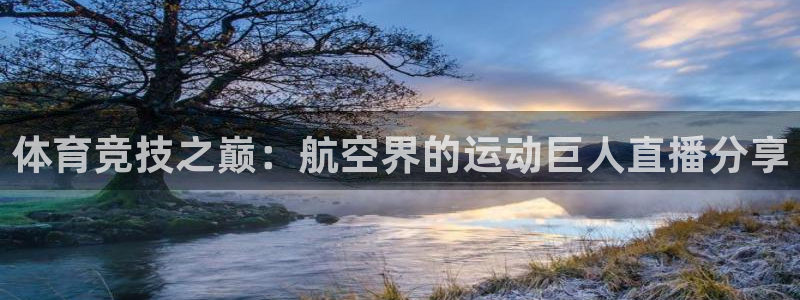 体育竞技之巅：航空界的运动巨人直播分享