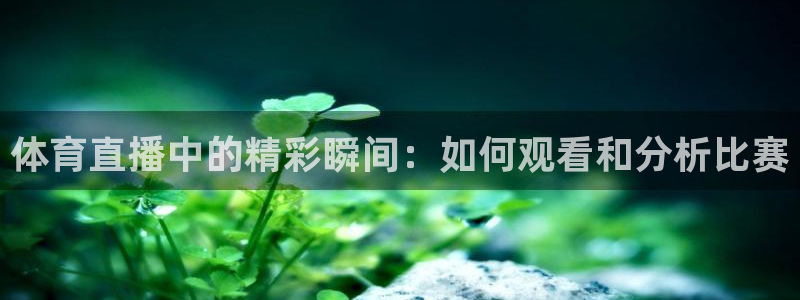 体育直播中的精彩瞬间：如何观看和分析比赛