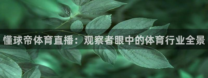 懂球帝体育直播：观察者眼中的体育行业全景