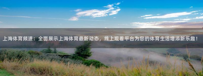 上海体育频道：全面展示上海体育最新动态，线上观看平台为您的体育生活增添新乐趣！